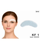 KF1 Brow Shape